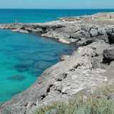 Pi� avanti la scogliera diventa pi� alta e si affaccia su un mare che tende al verde
